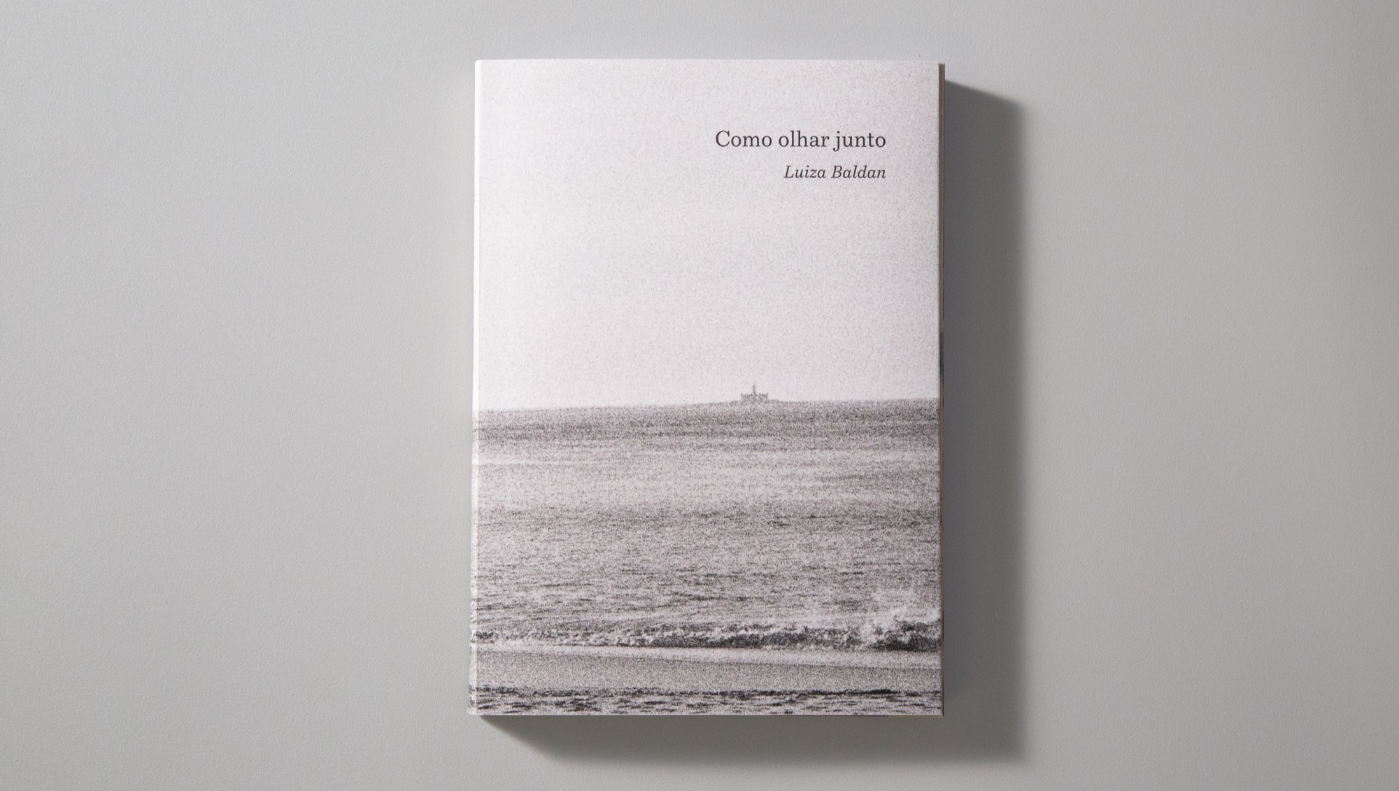 Como Olhar Junto – Luiza Baldan – capa