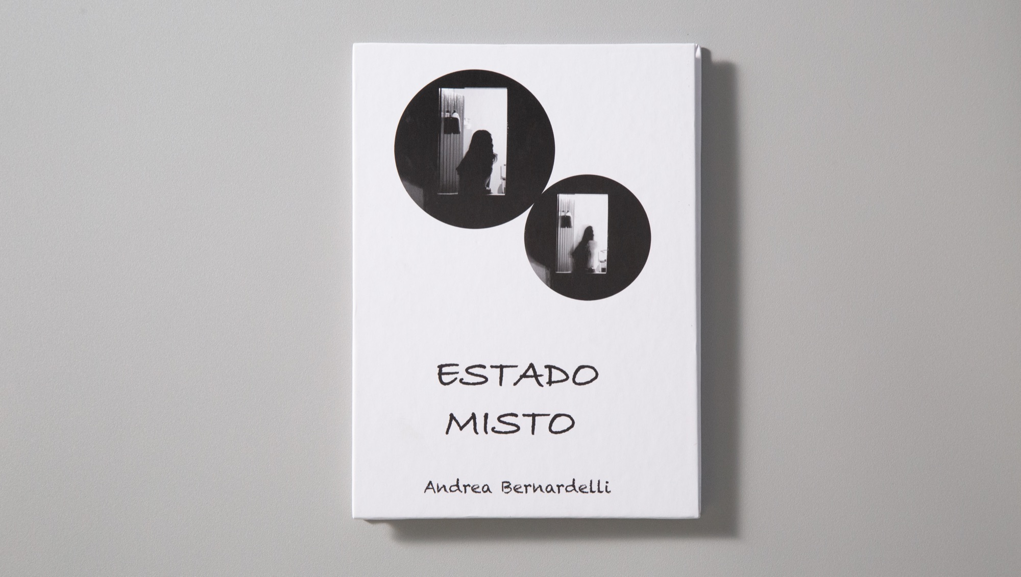 Estado Misto – Andréa Bernardelli – capa